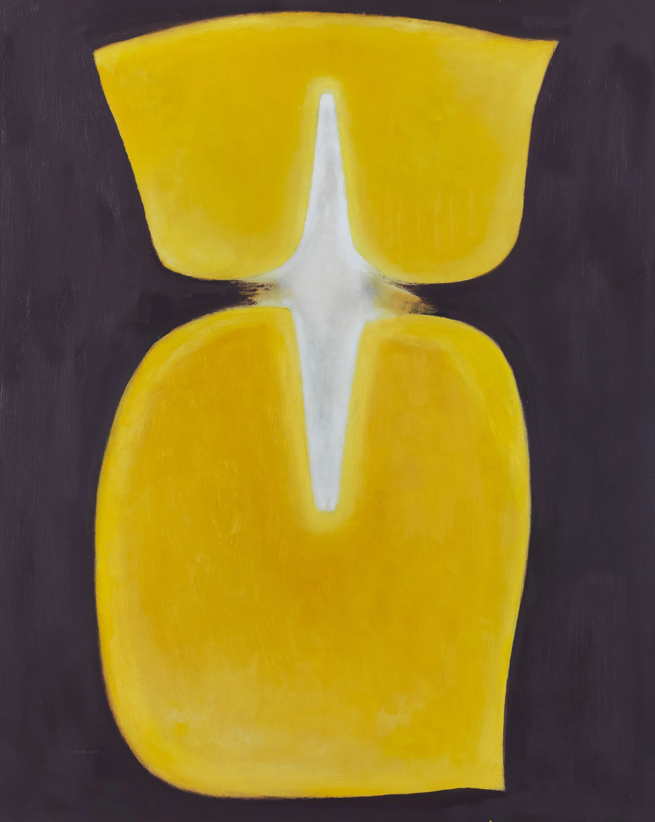 285. Soul Infusion 30x24.JPG