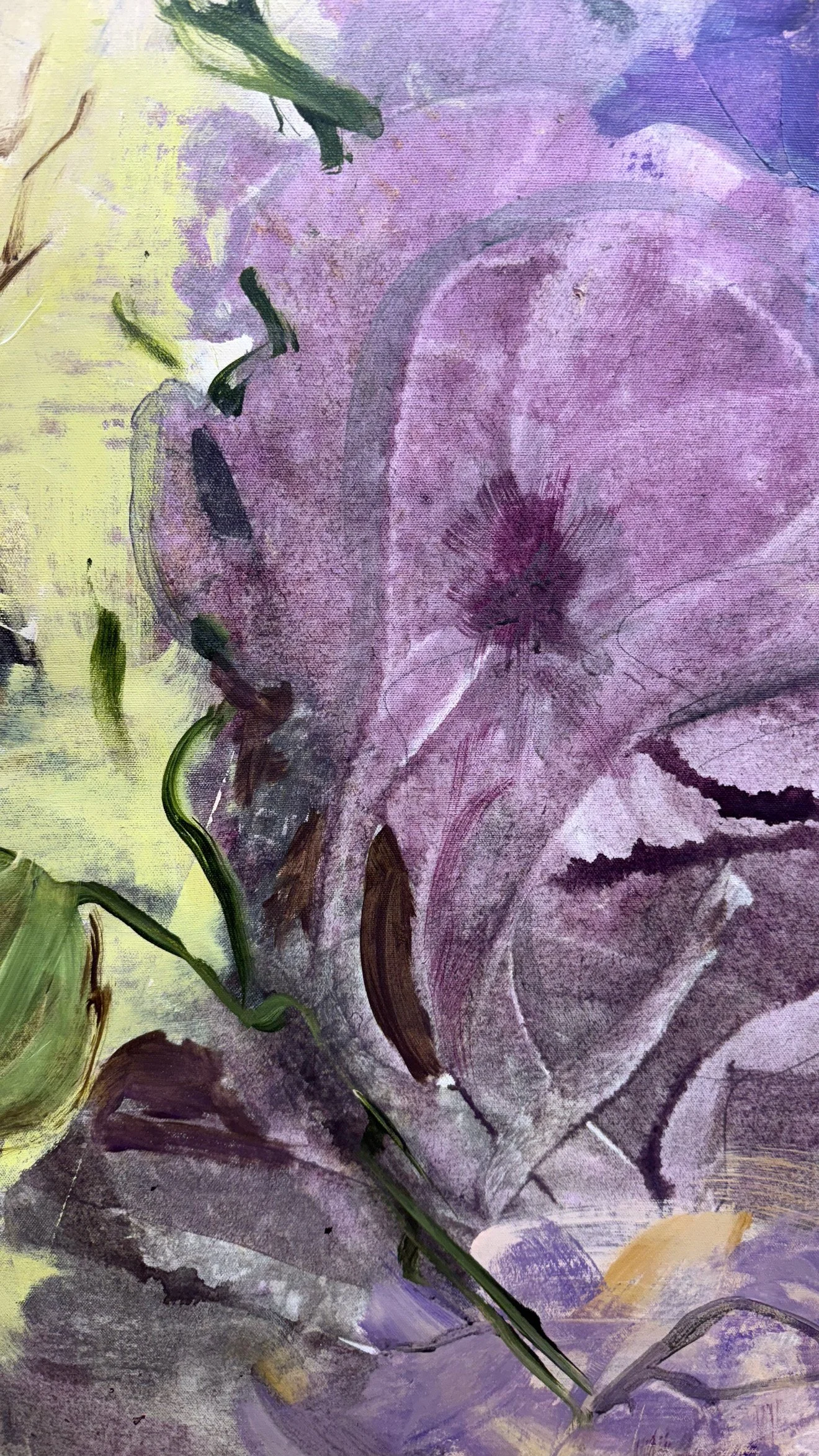 Close Up