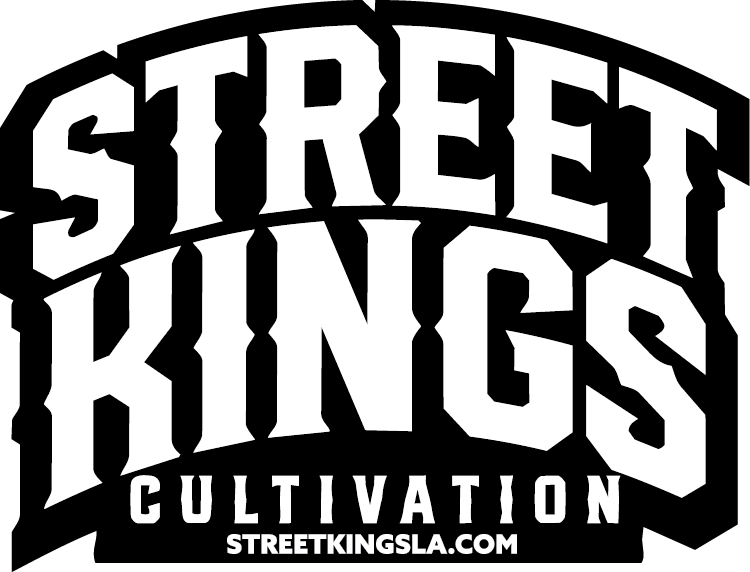 STREET KINGS LOGO@0.5x-8.png