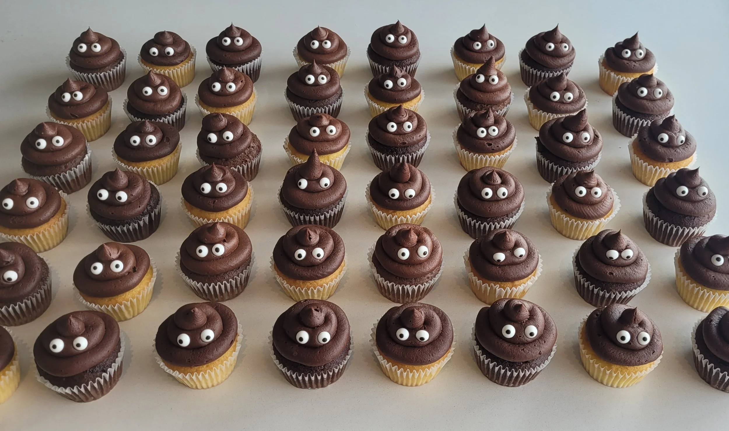 Funny poop emoji chocolate cupcakes in Ottawa