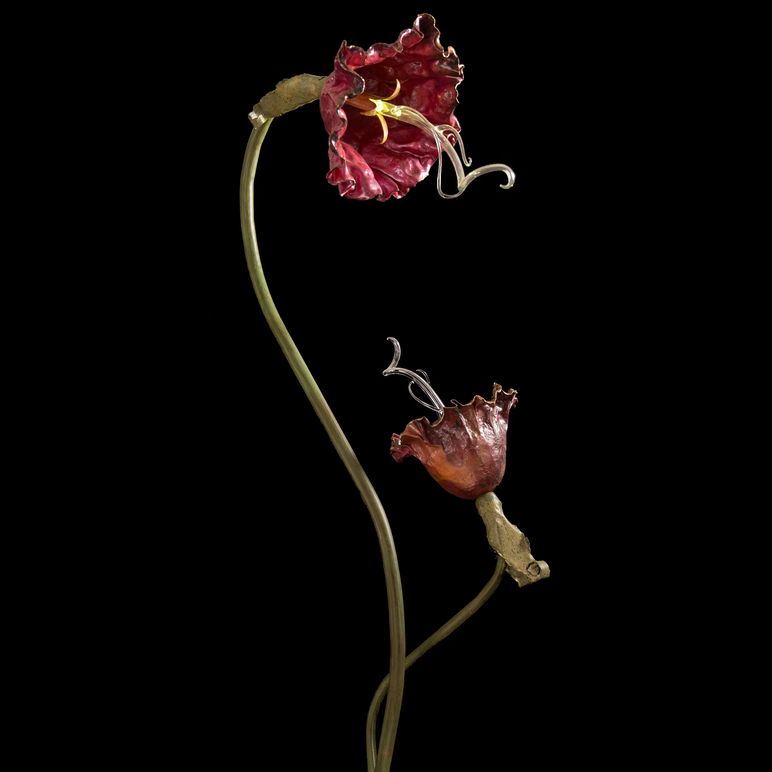 2 flowers waist up.jpg