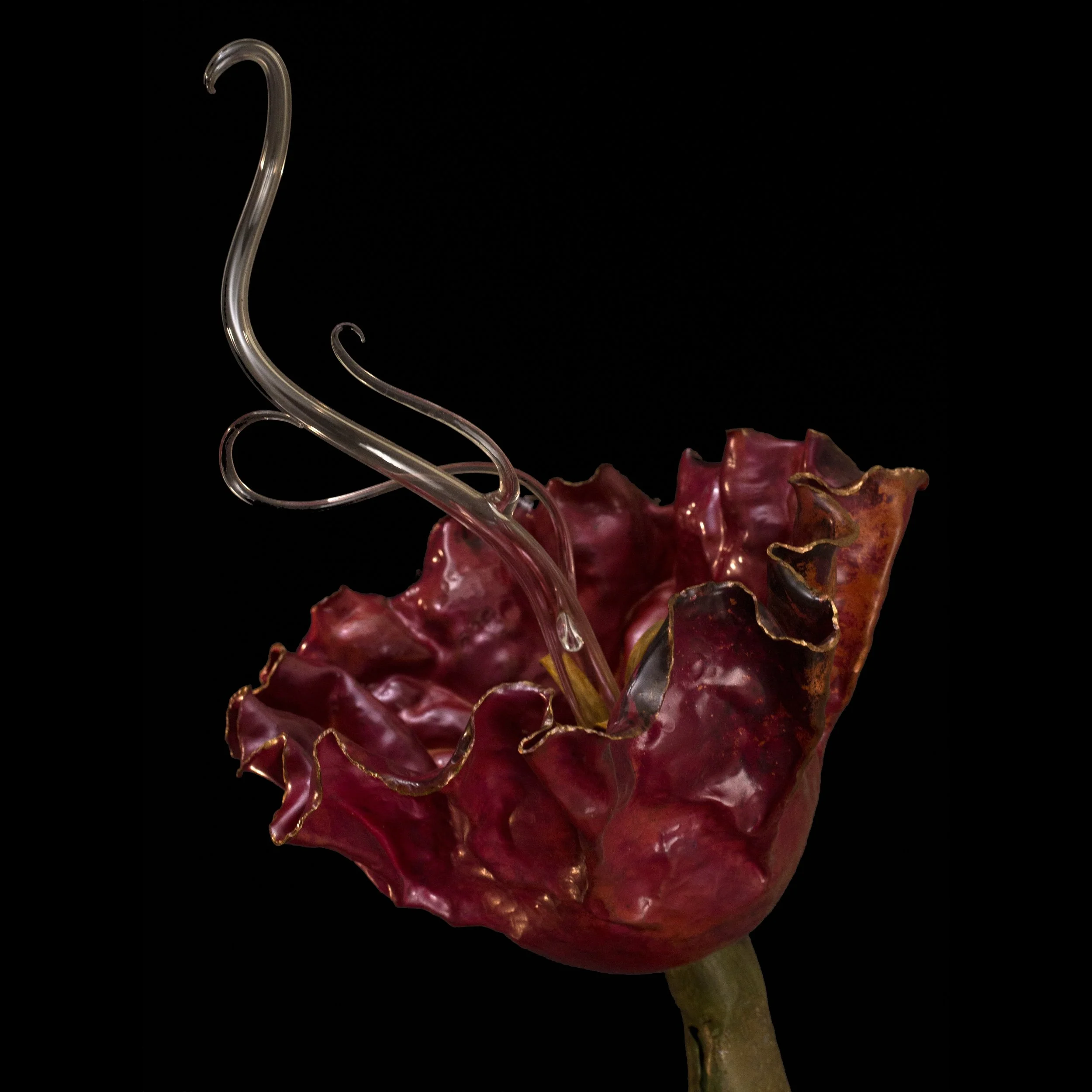 1 flower black square.jpg