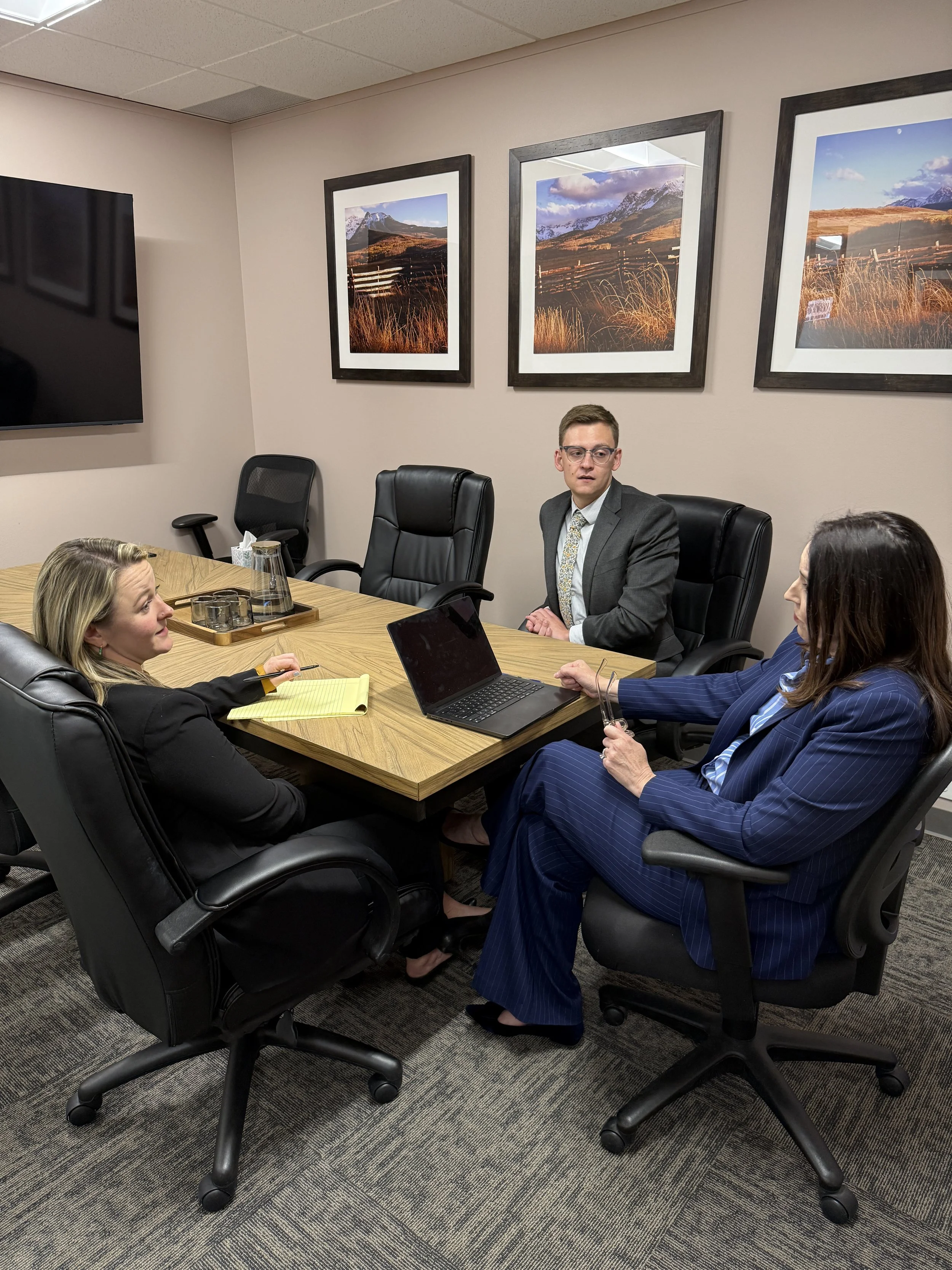 Three businesspeople participating in a meeting in a conference room with framed landscape photographs of mountains and fields on the wall.