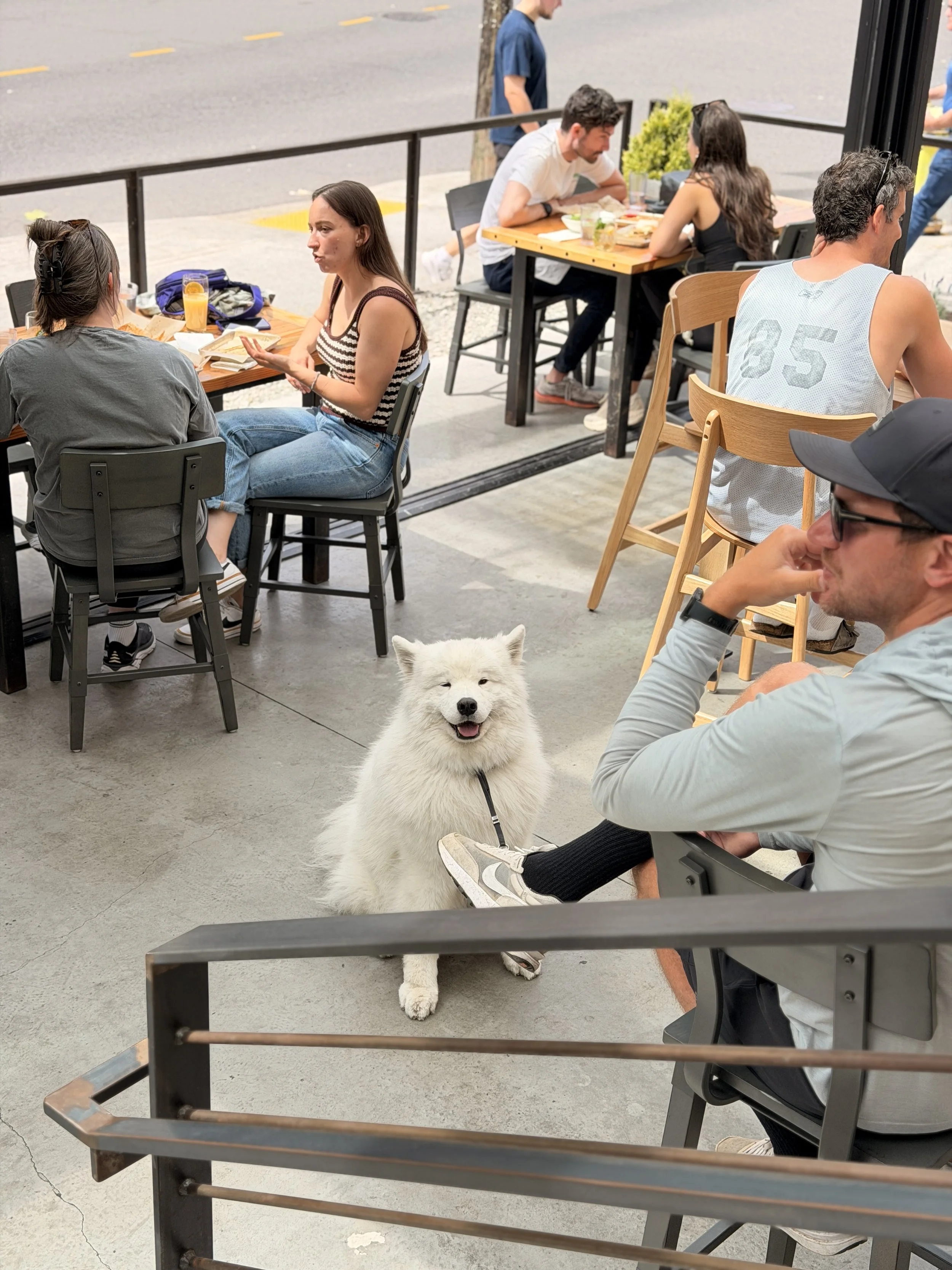 A group of people are sitting outside at a cafe, some having conversations and eating, with a white fluffy dog sitting on the ground smiling and looking at the camera.