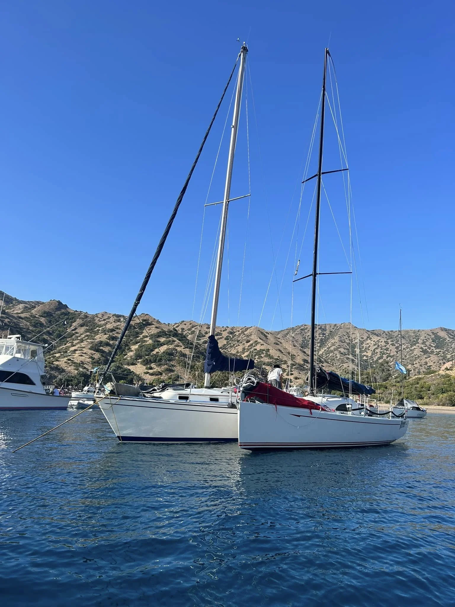 Several sailboats docked in a harbor with a mountainous landscape and clear blue sky in the background.