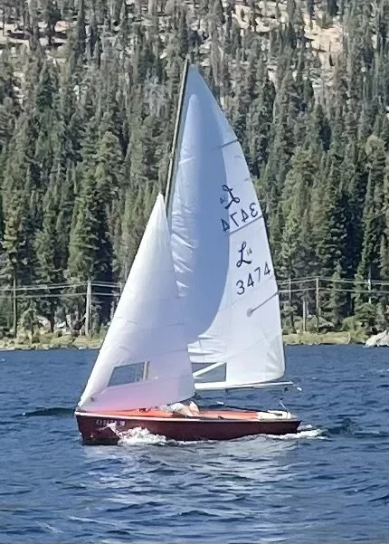 A sailboat with a white sail on a lake, surrounded by pine trees.