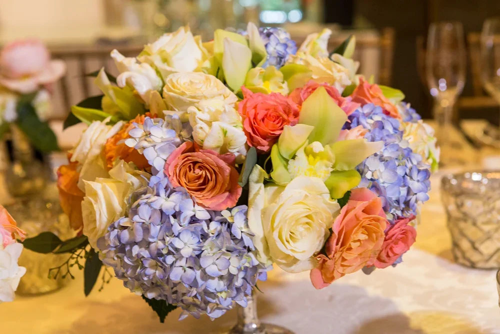 Lisa_Sue_Hanauer_Selects-186.webp