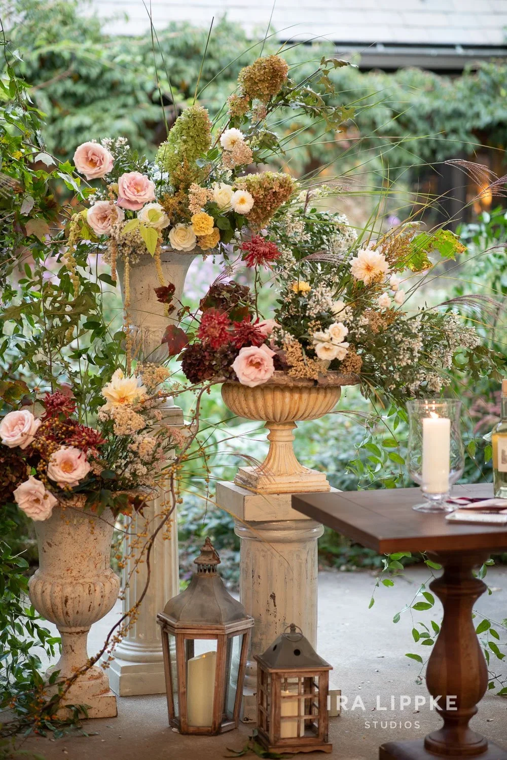 IraLippkeStudios_LR_050.webp