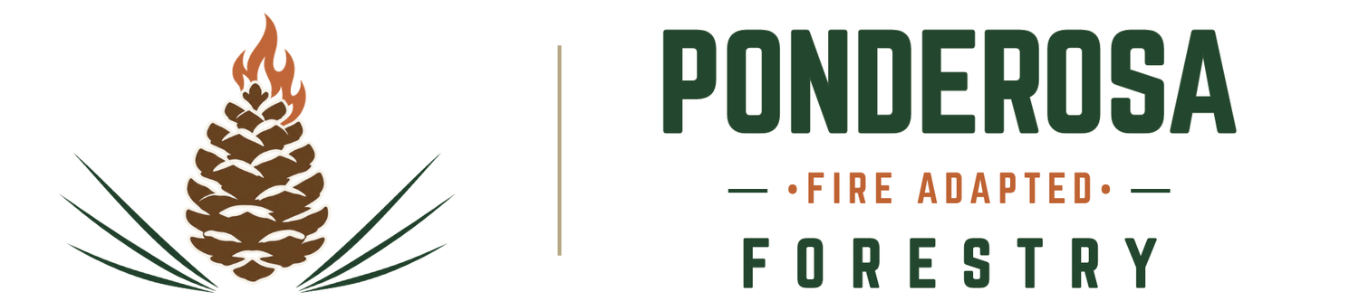 Ponderosa Forestry
