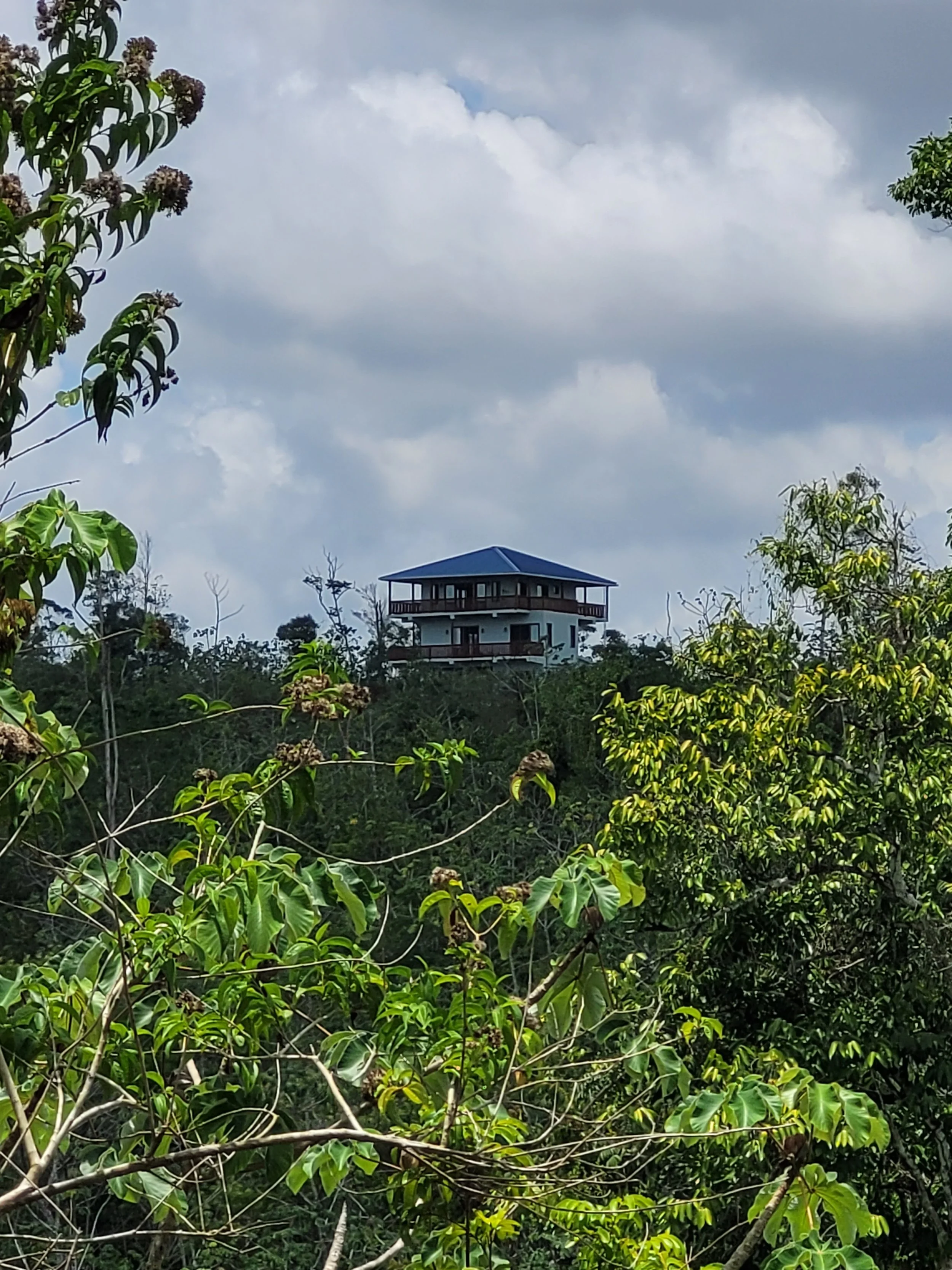 A two-story house with a blue roof is situated among dense green trees and plants, with a cloudy sky overhead.