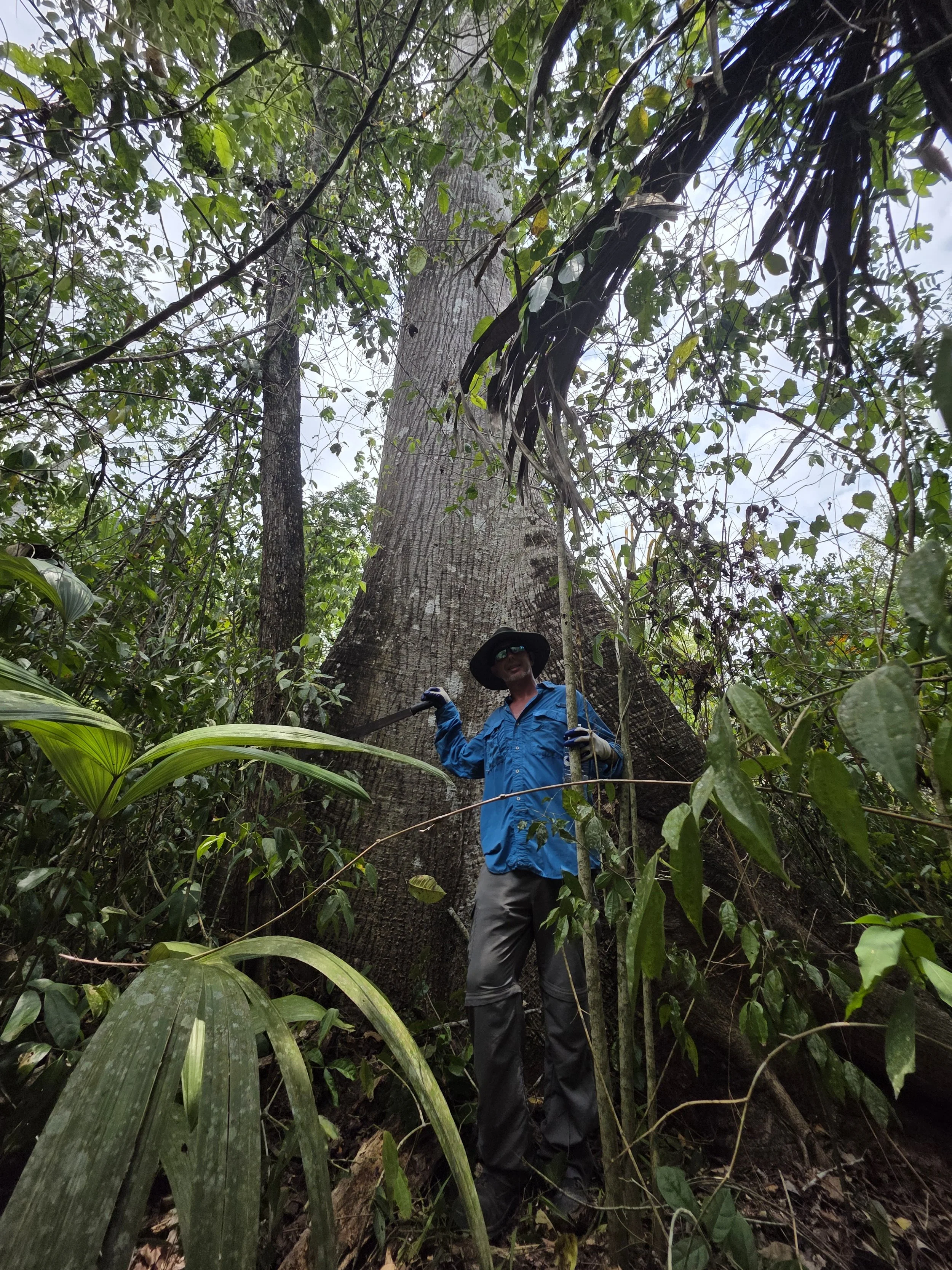 A person in a blue jacket, gray pants, a large hat, and sunglasses standing in a dense jungle, holding onto a long stick, with tall trees and thick green foliage around him.