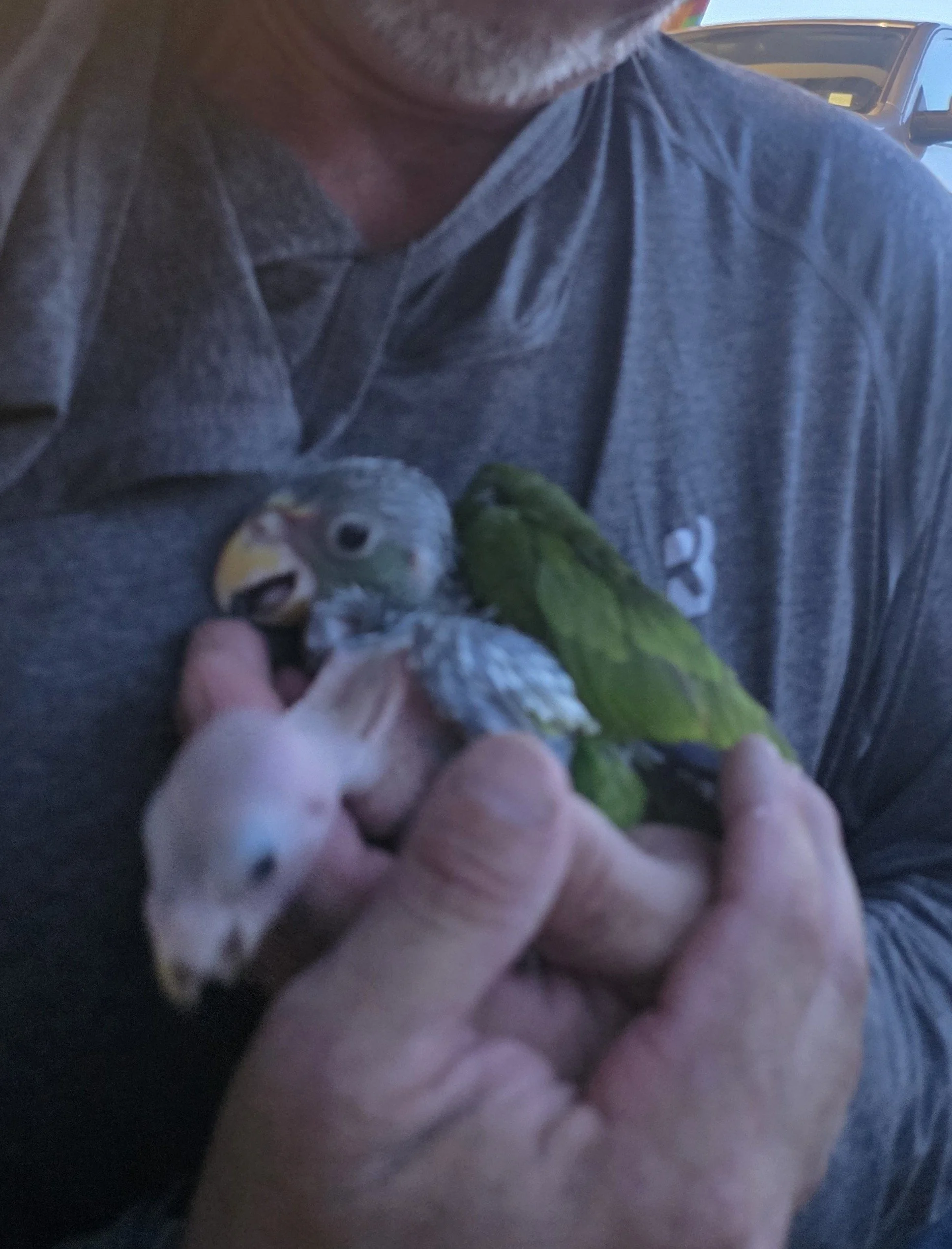 Close-up of a person holding a small bird with a green leaf in the foreground; the person's face is partially visible, and they are wearing a dark shirt. The scene appears to be outdoors near a vehicle.