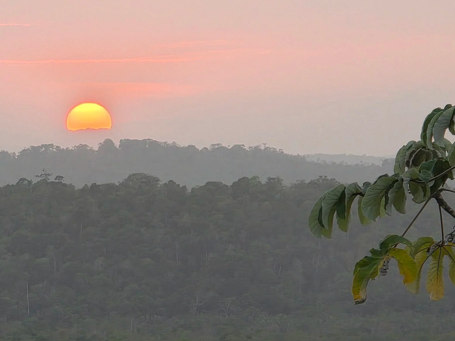 Sunsets at Browntown Too.