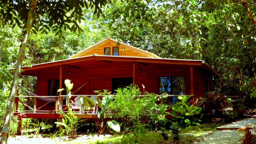 A wooden house surrounded by lush greenery in a forest or garden setting.