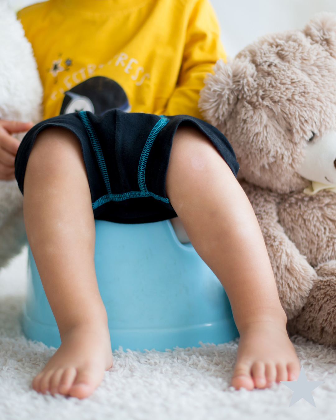 Child sitting on a potty chair, with teddy bears nearby. Potty training consultant NH