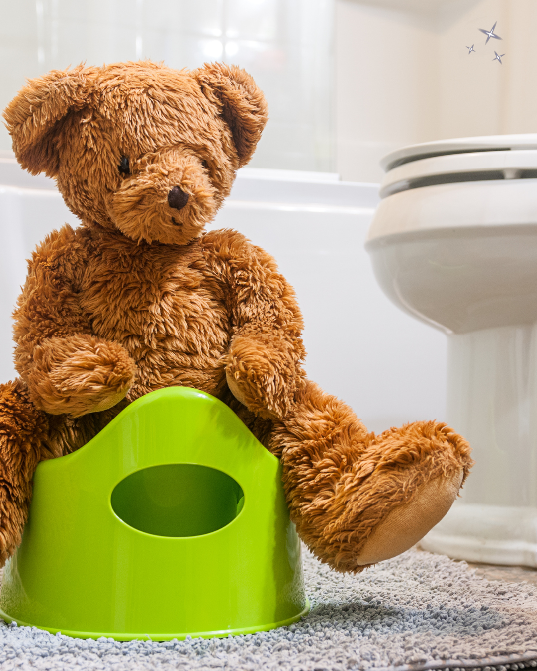 Potty Training Support Boston