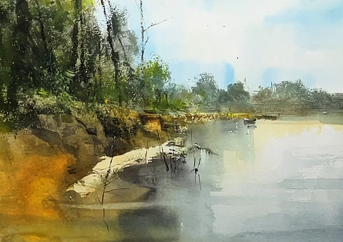 Driftwood at the Water's Edge