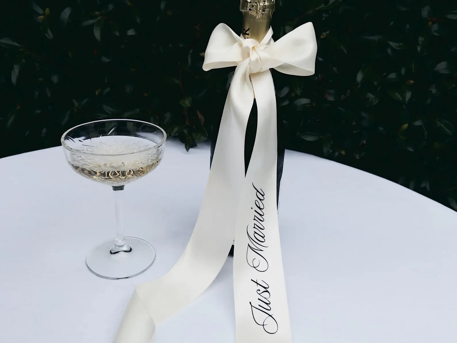Just Married Ribbon