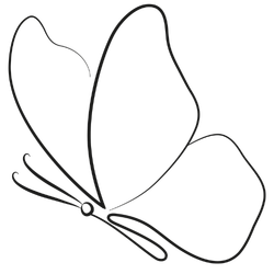 Bloom Within Collective butterfly logo detail.