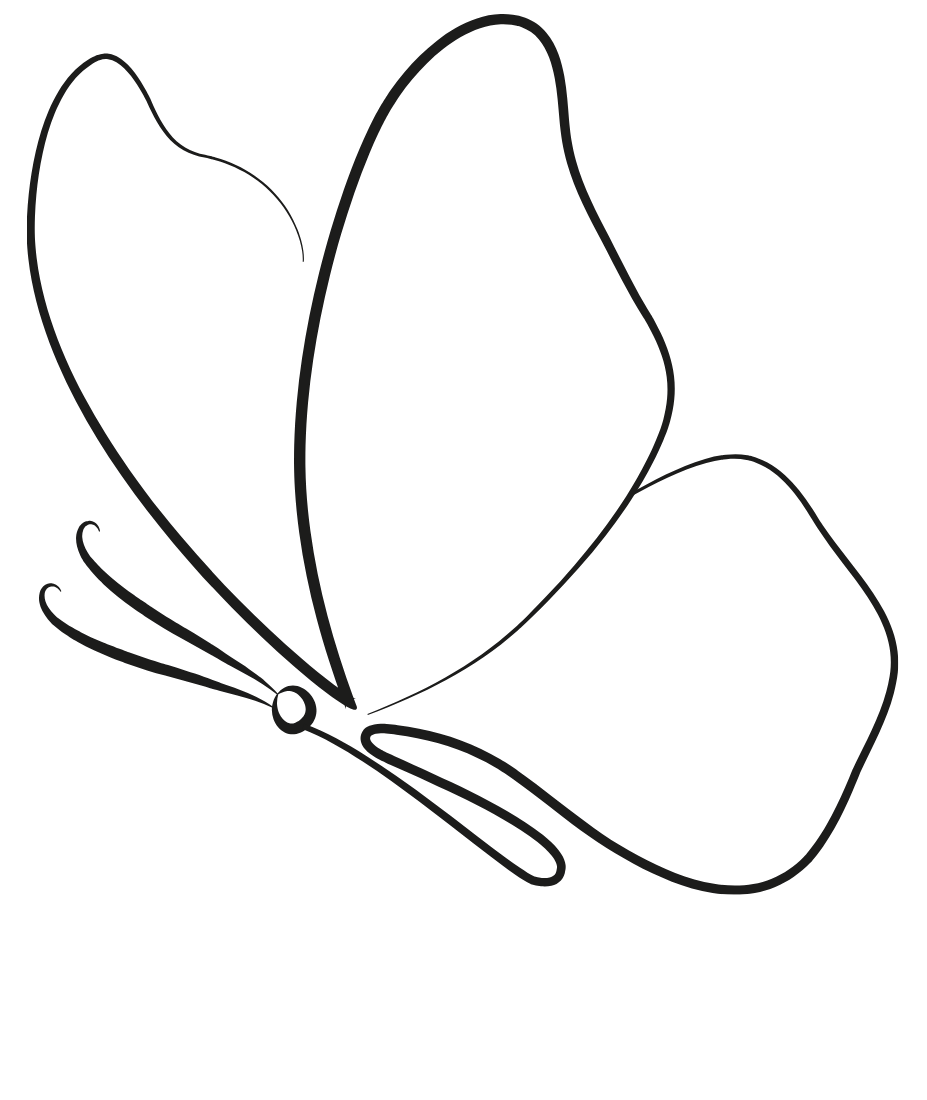 Bloom Within Collective butterfly logo detail.