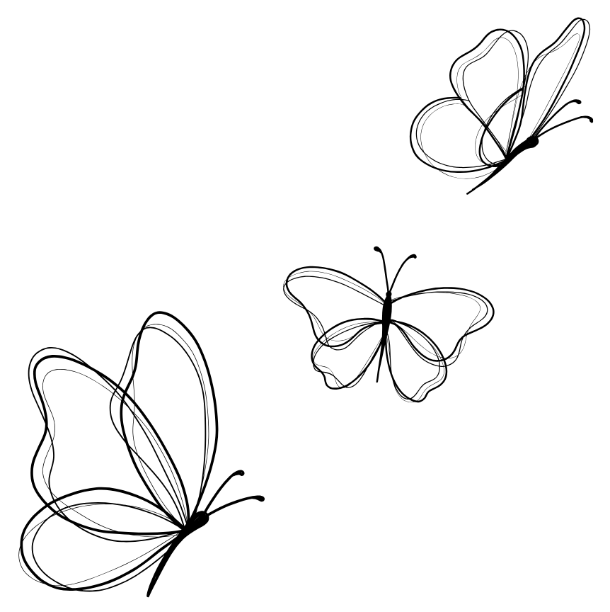 Bloom Within Collective 3 butterfly butterfly detail.
