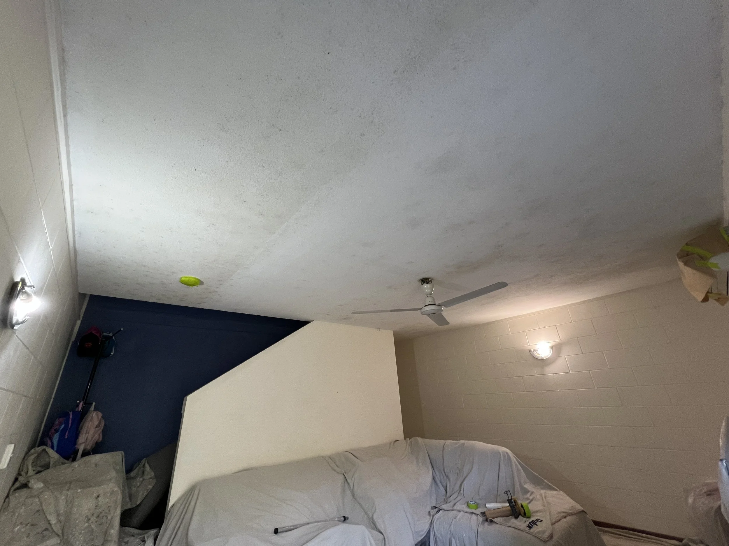 Mouldy Ceilings in Cairns – How They Should Be Treated Before Repainting