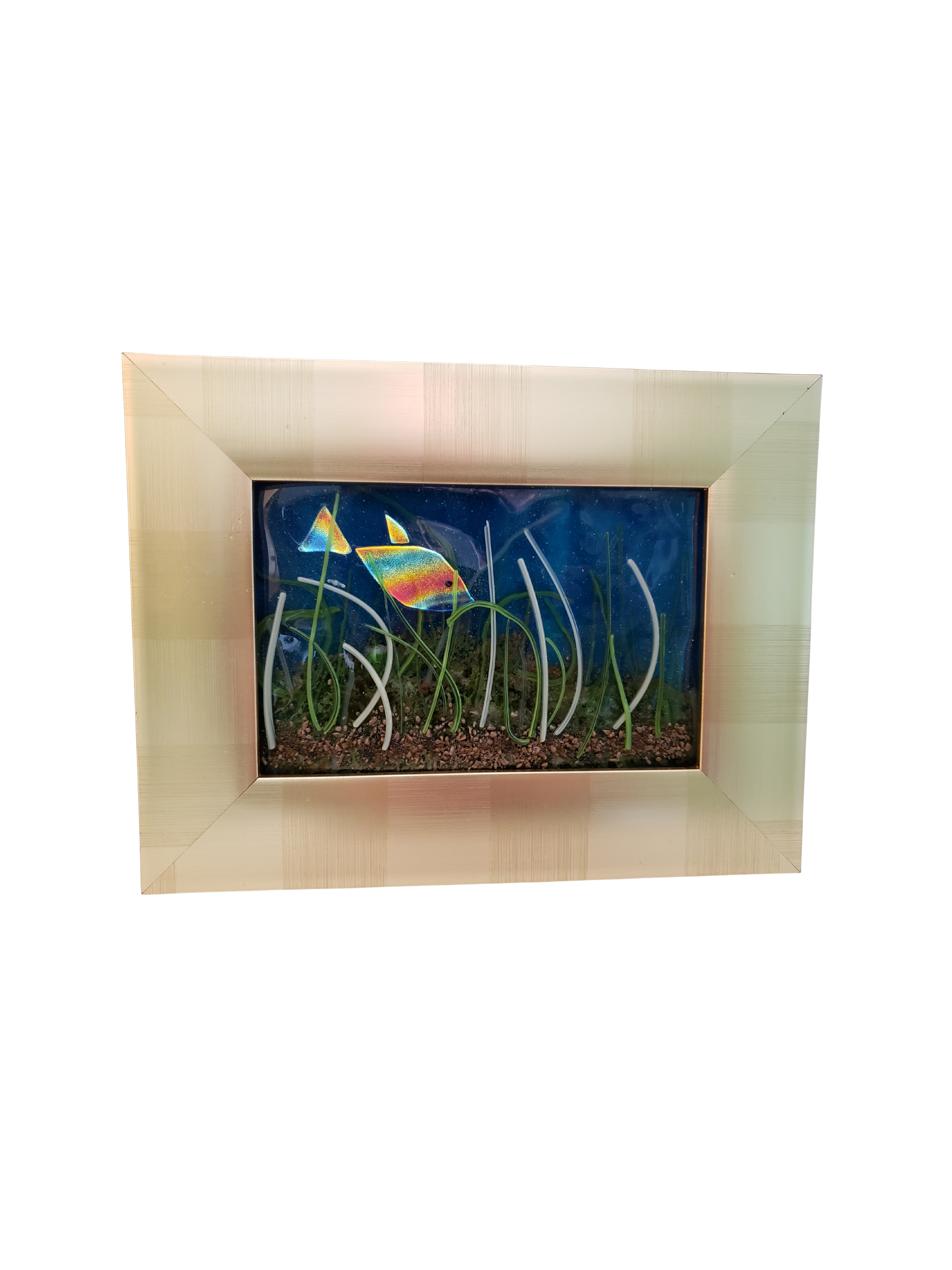 The Aquarium Framed Art