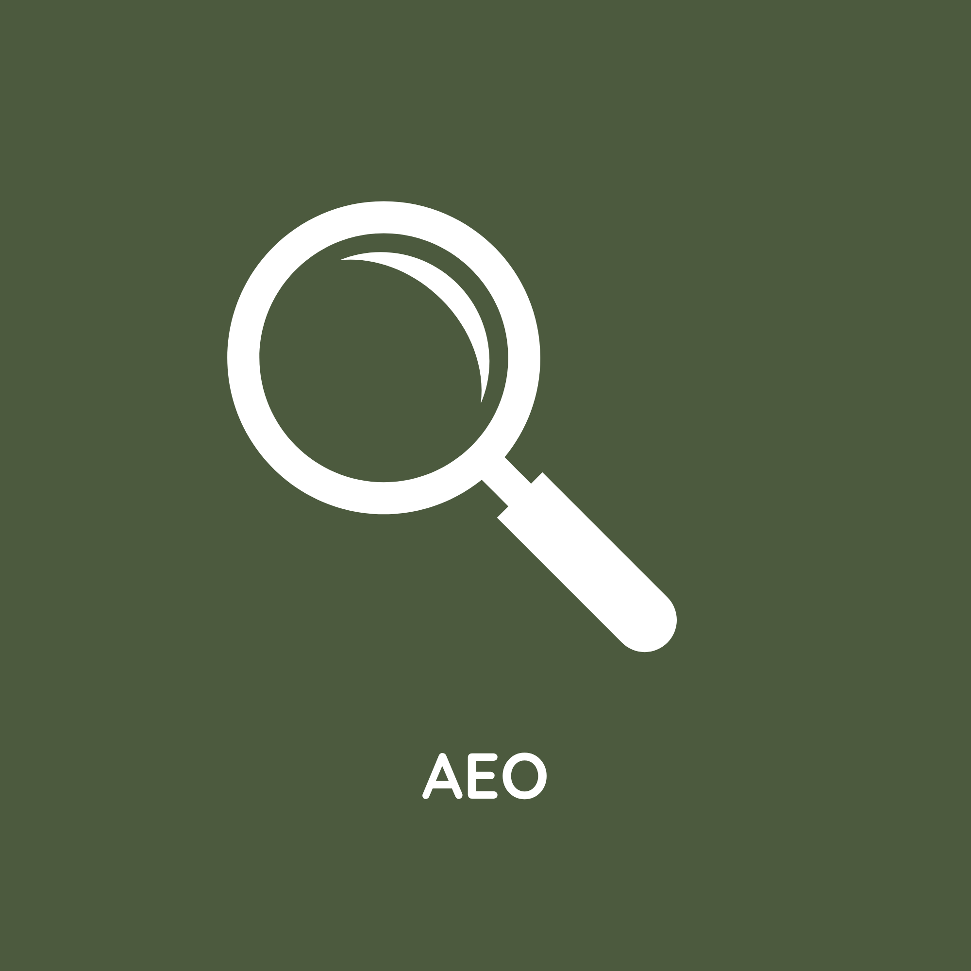 Portfolio Proof: AEO Skills
