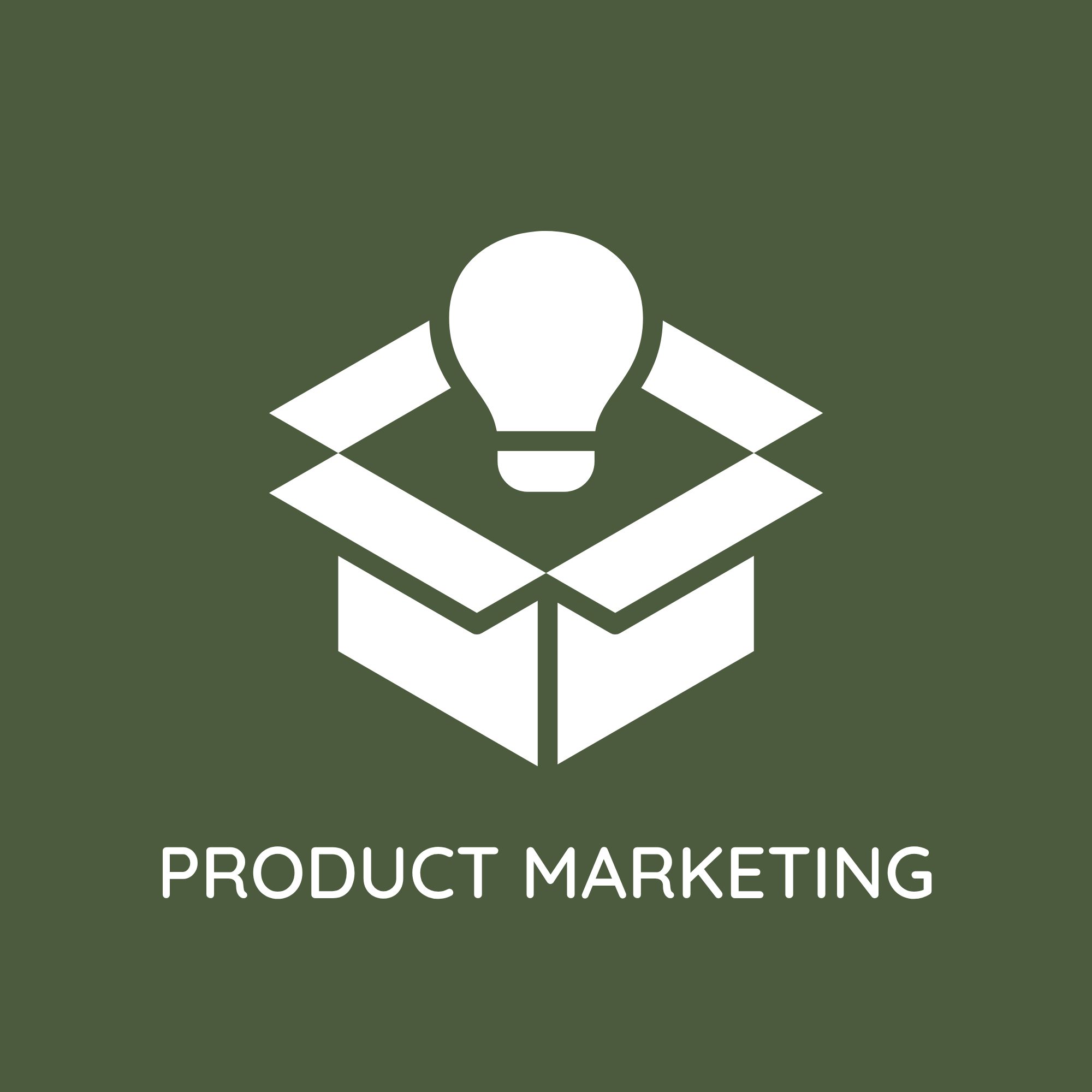 Portfolio Proof: Product Marketing