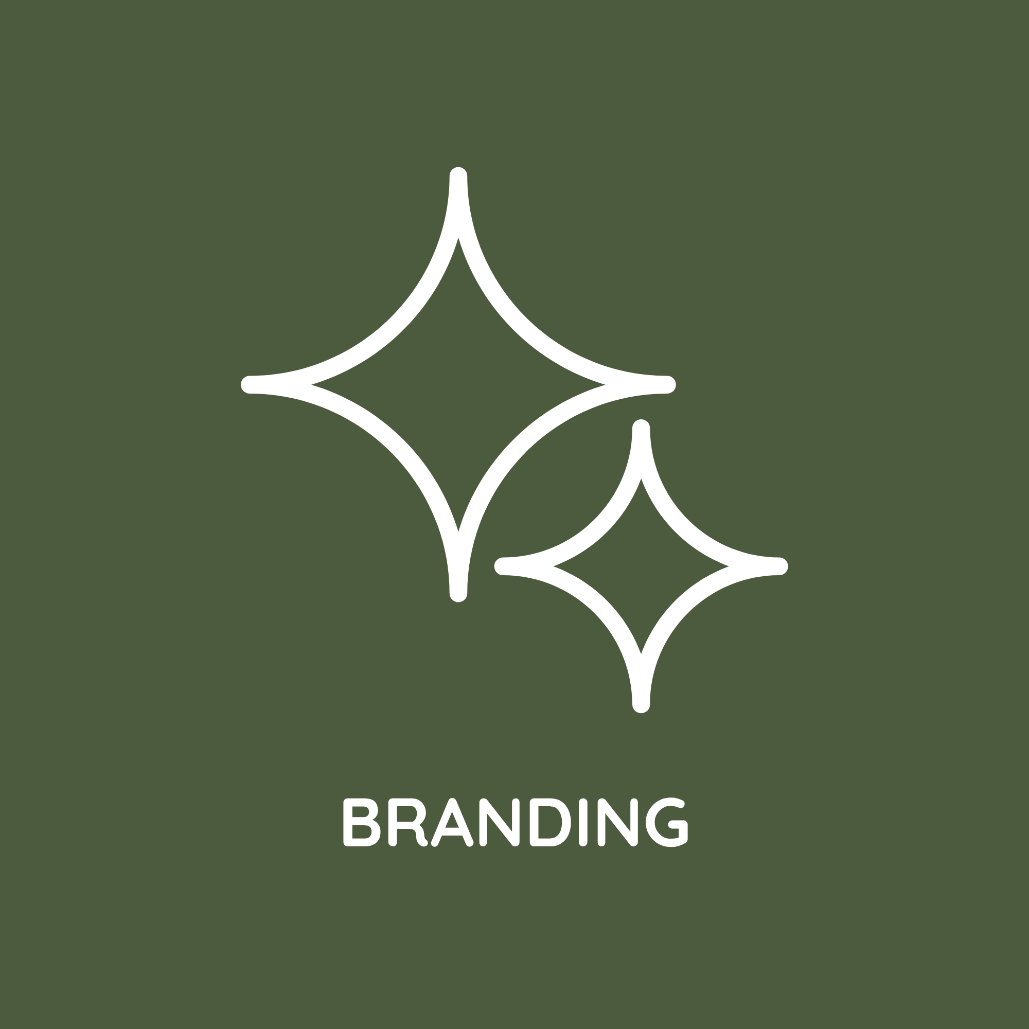 Portfolio Proof: Branding