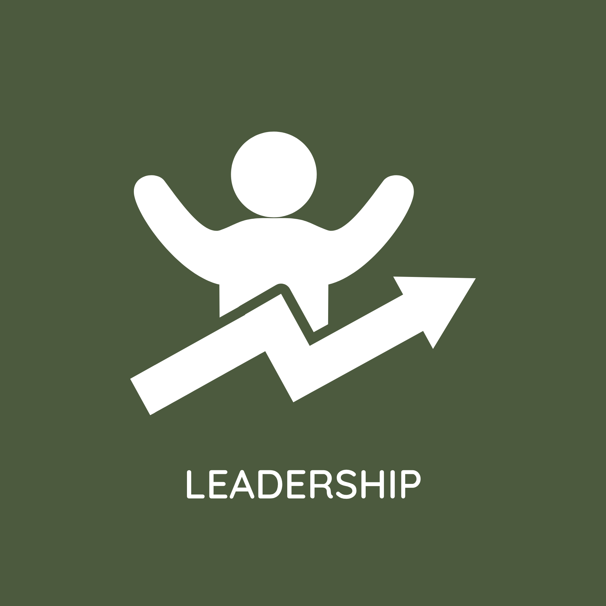 Portfolio Proof: Leadership