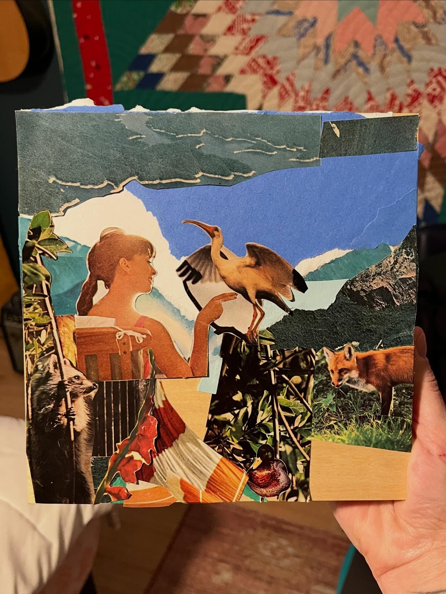 Unfinished collage I&rsquo;m currently working on 🦜🦝🦊
