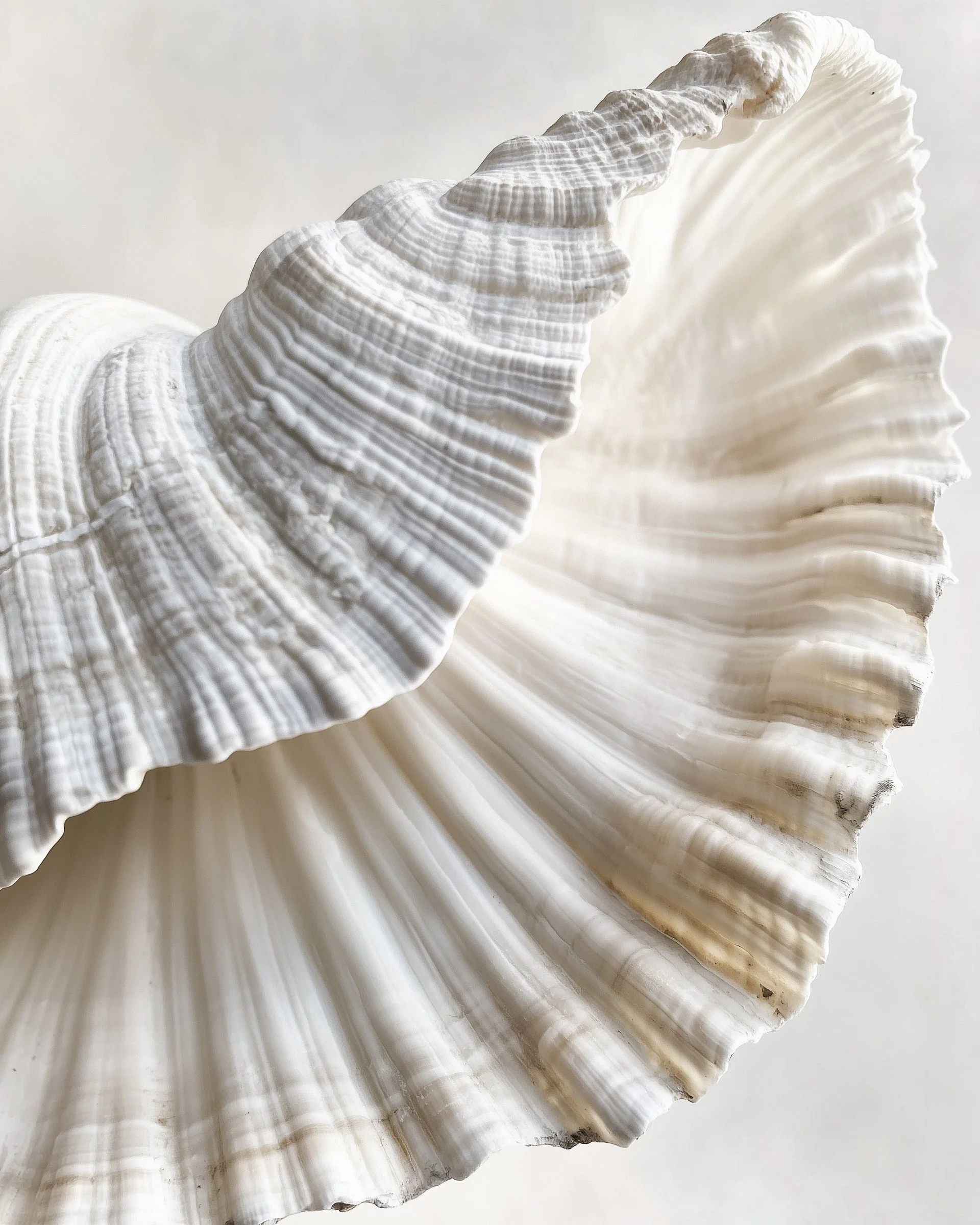 Gentle Isn’t Weak: Choosing Compassion in Your Wellness Journey