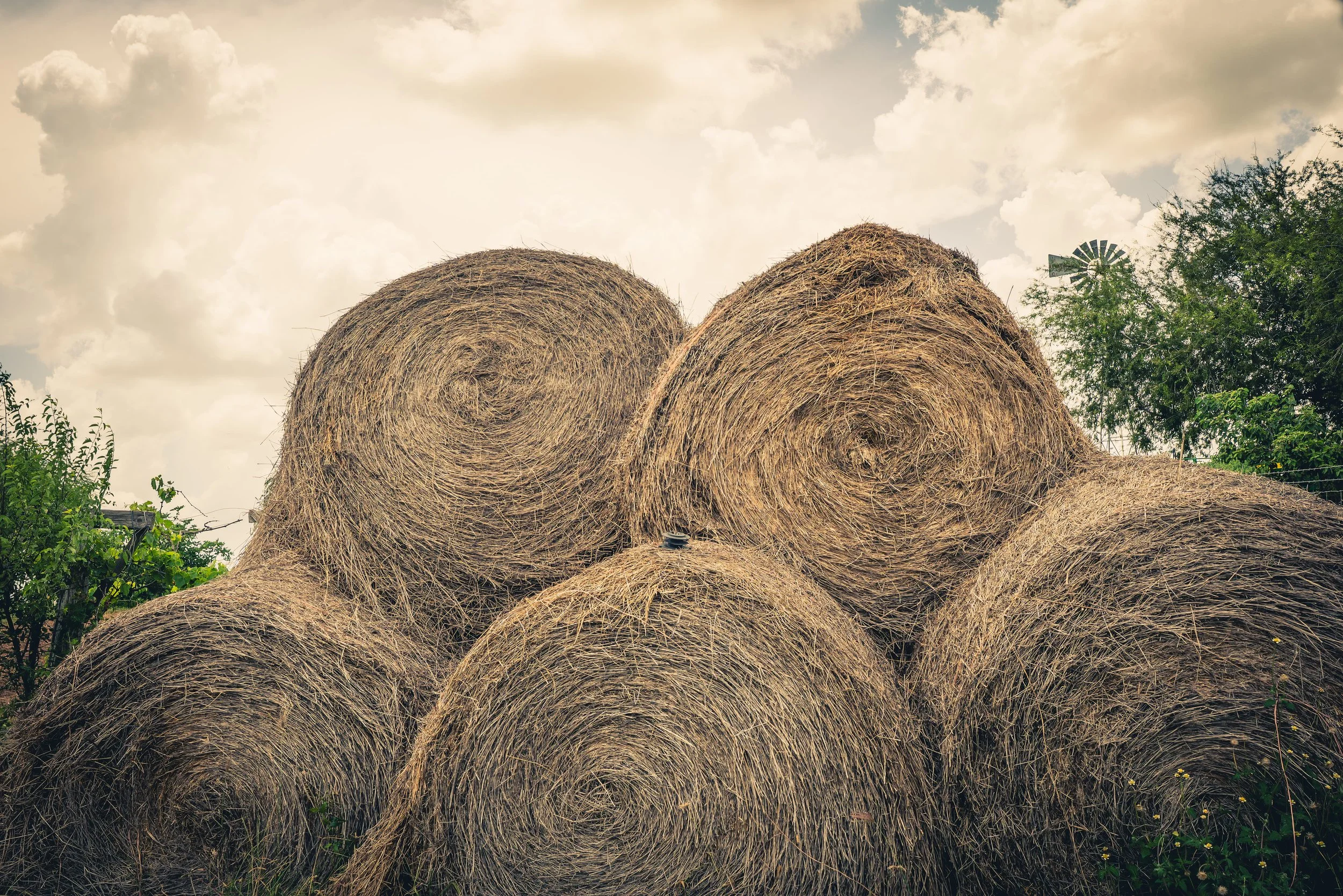 Stacked hay bales in a field with green trees and a cloudy sky in the background.