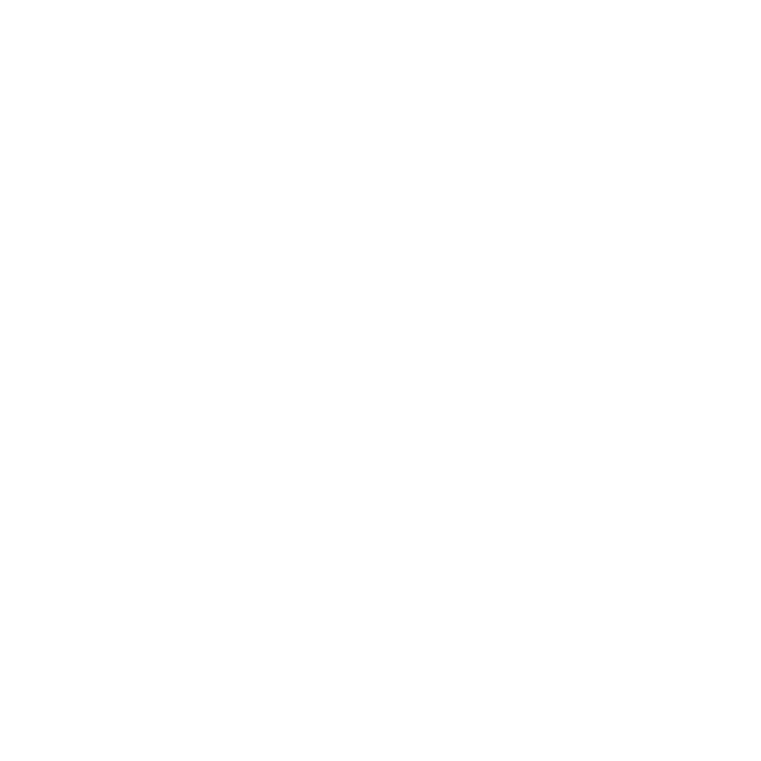 Sydney Concert Orchestra