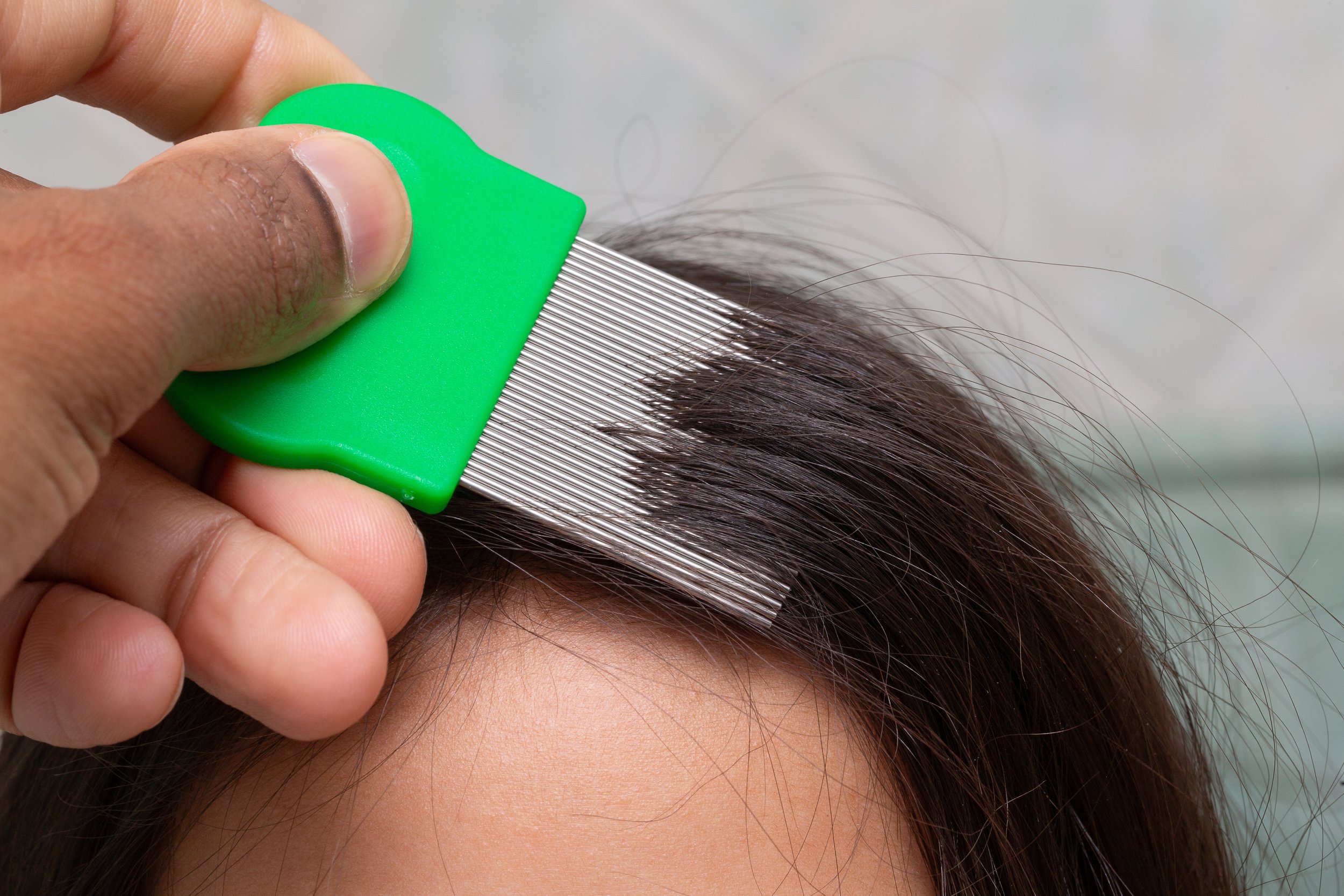 A person holding a green comb and combing brown hair on a person's scalp.