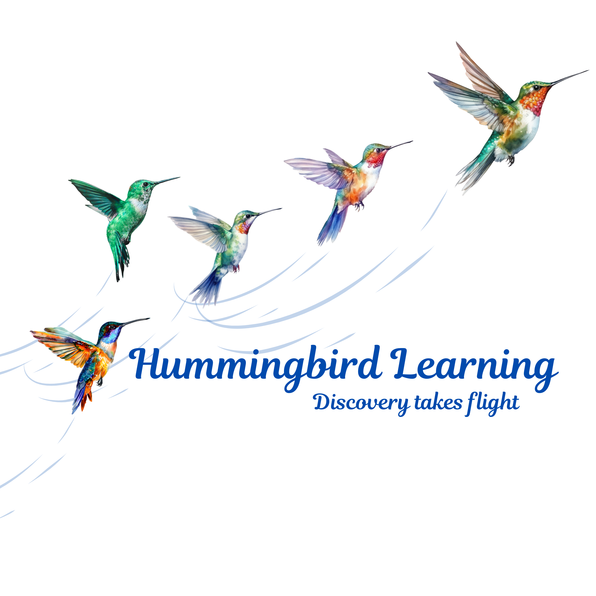 small group of birds.png