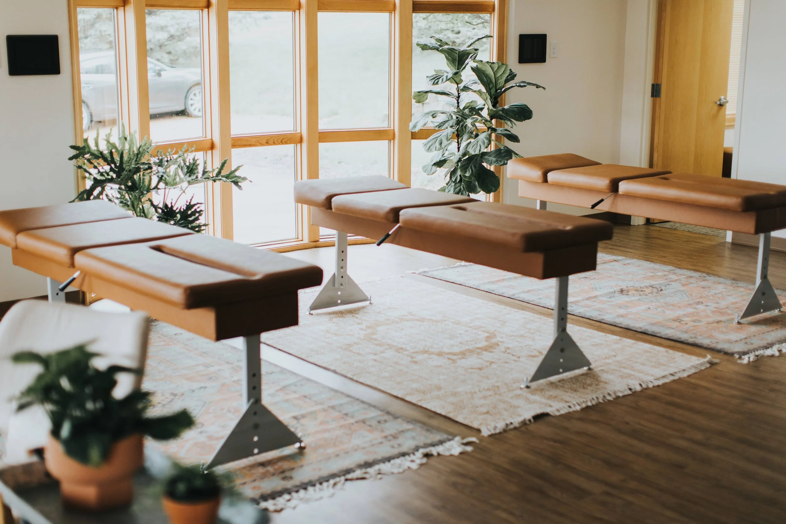 Interior of a room with wooden trim and large windows showing an outside view, with yoga or massage tables, potted plants, and a patterned rug.