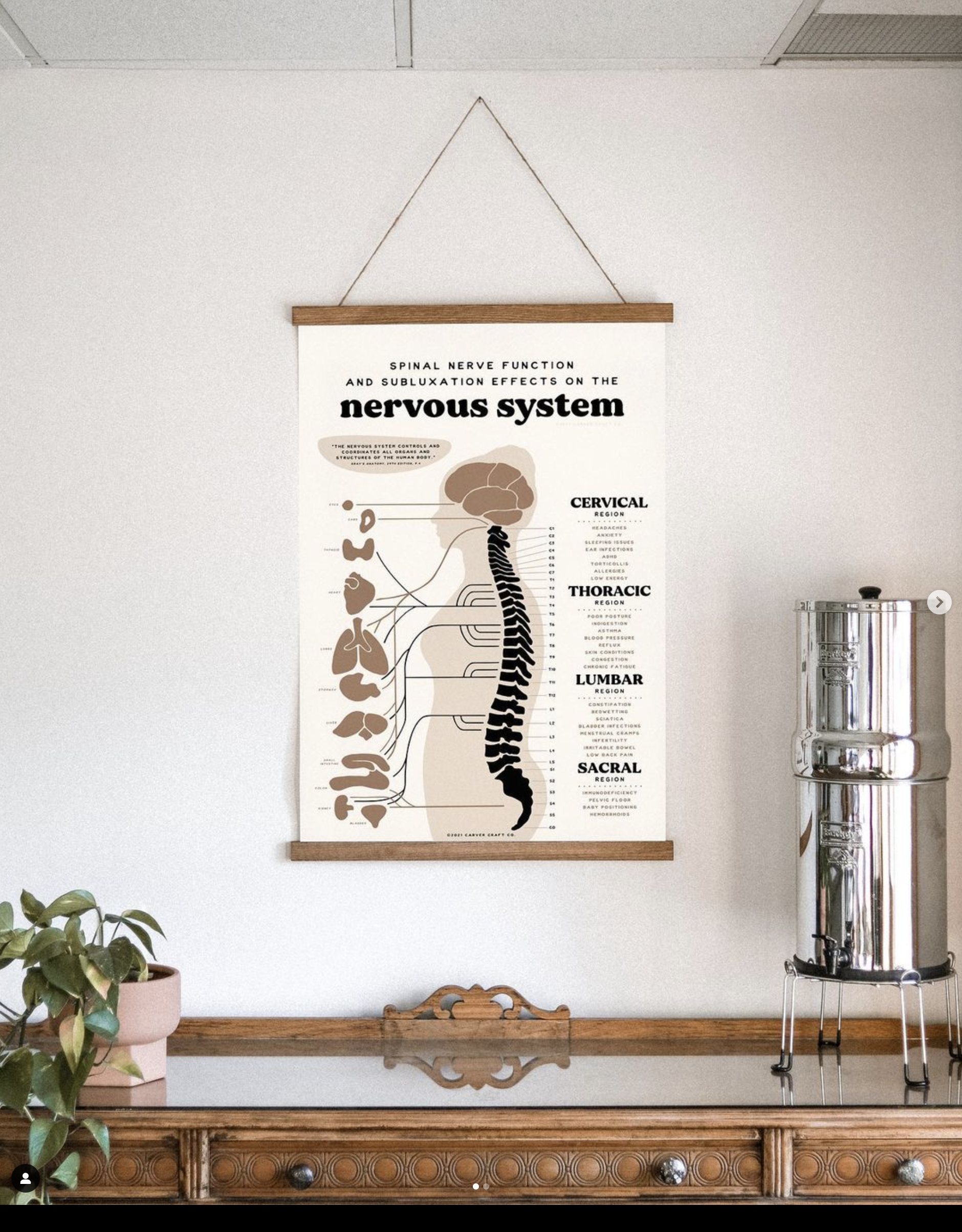 A poster of the human nervous system hangs on a wall in a room with a wooden sideboard, a potted plant, and a metal water filter.