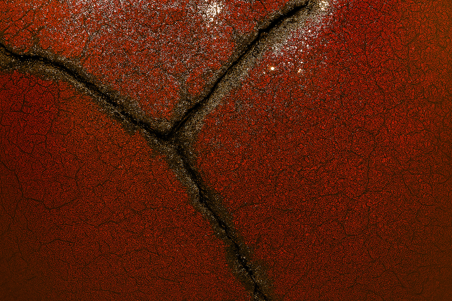 margarita shuvaeva_c_00012.png