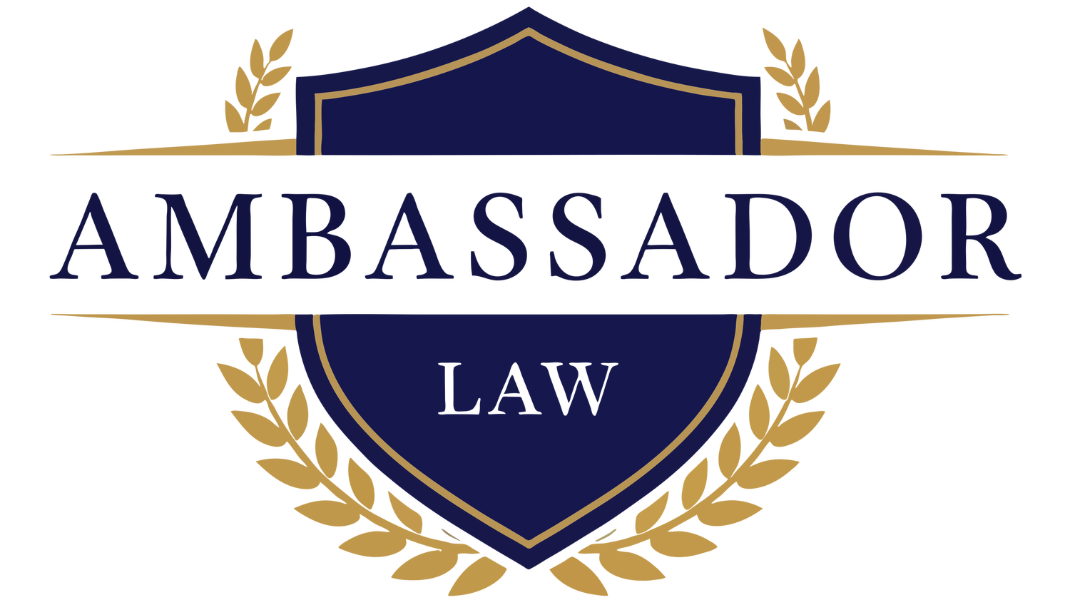 Ambassador Law