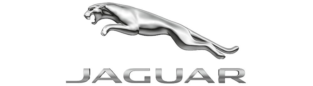 Logo of a snarling silver jaguar above the word 'JAGUAR' in metallic letters.