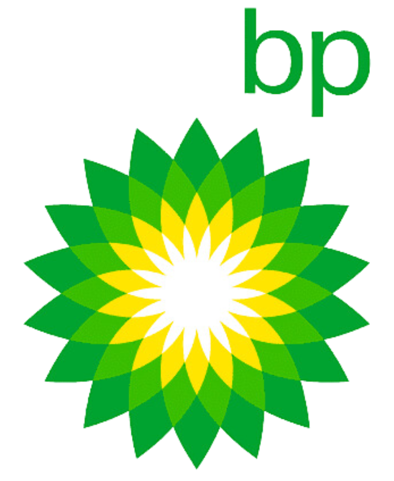 The image features the BP logo with a green, yellow, and white flower-shaped design underneath. The BP name appears in green text above the flower.