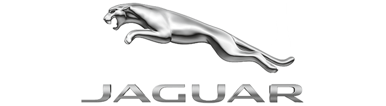 Jaguar logo with a silver jaguar leaping over the word "JAGUAR" in metallic letters.