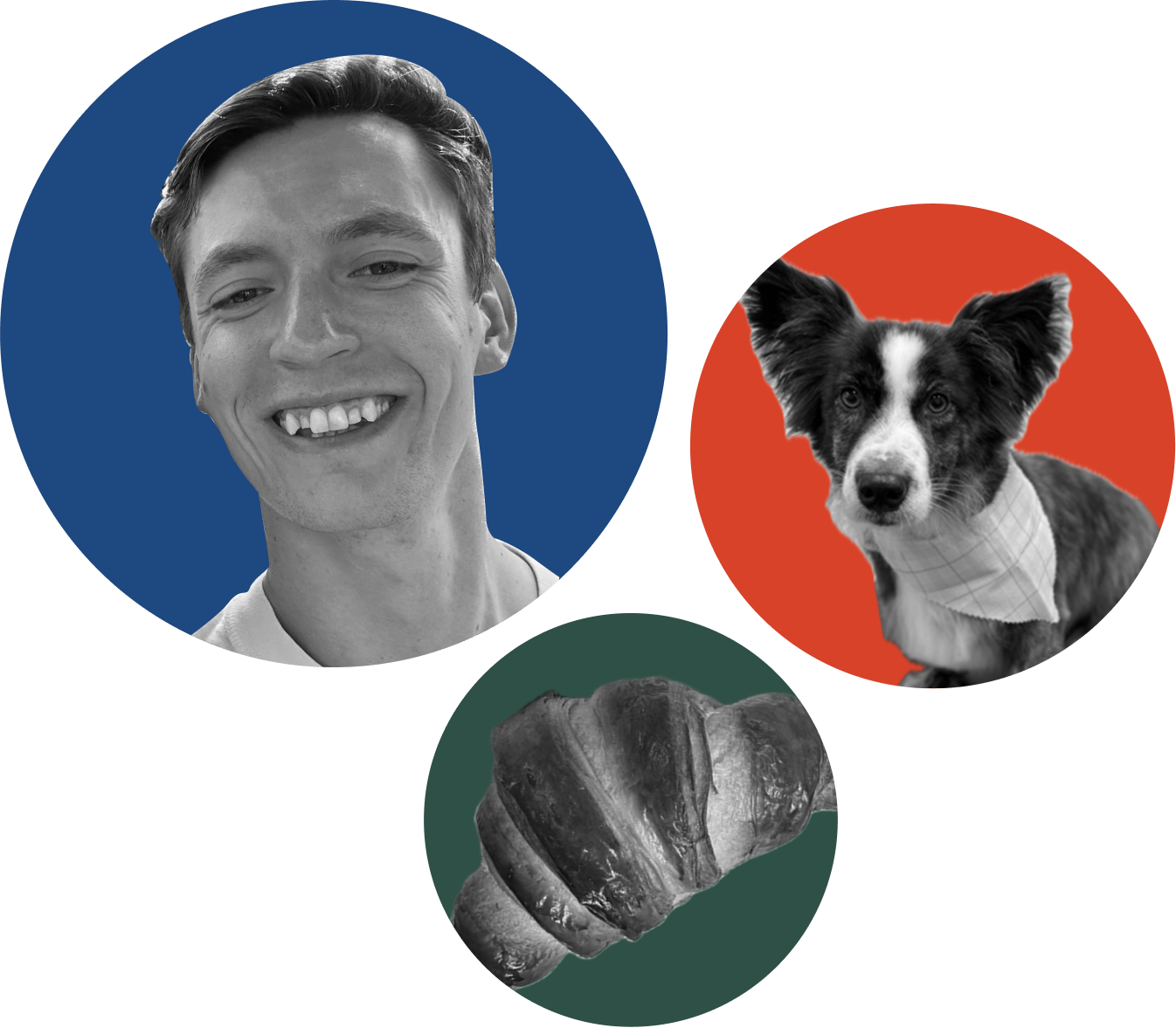 A collage of three black-and-white photos: a smiling man with short hair on a blue background, a Border Collie with a bandana on an orange background, and a close-up of a glazed croissant on a green background.