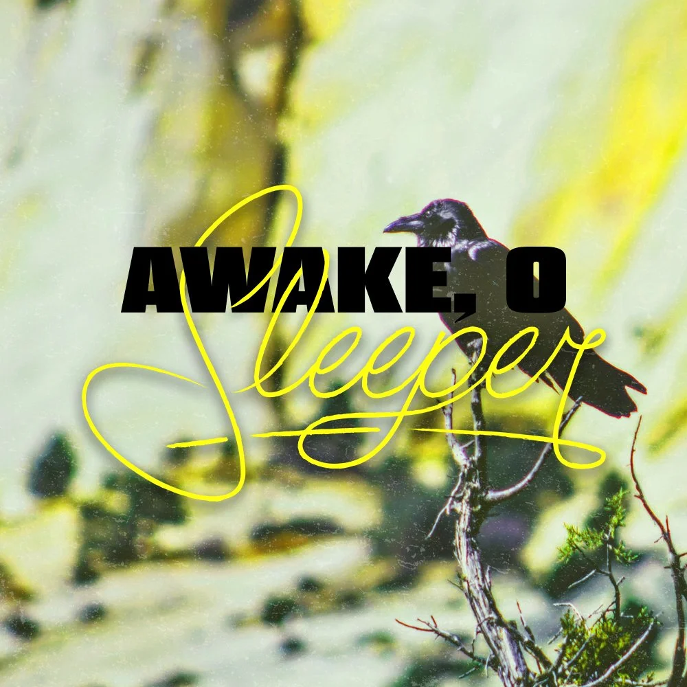 Sleeper_02.jpg