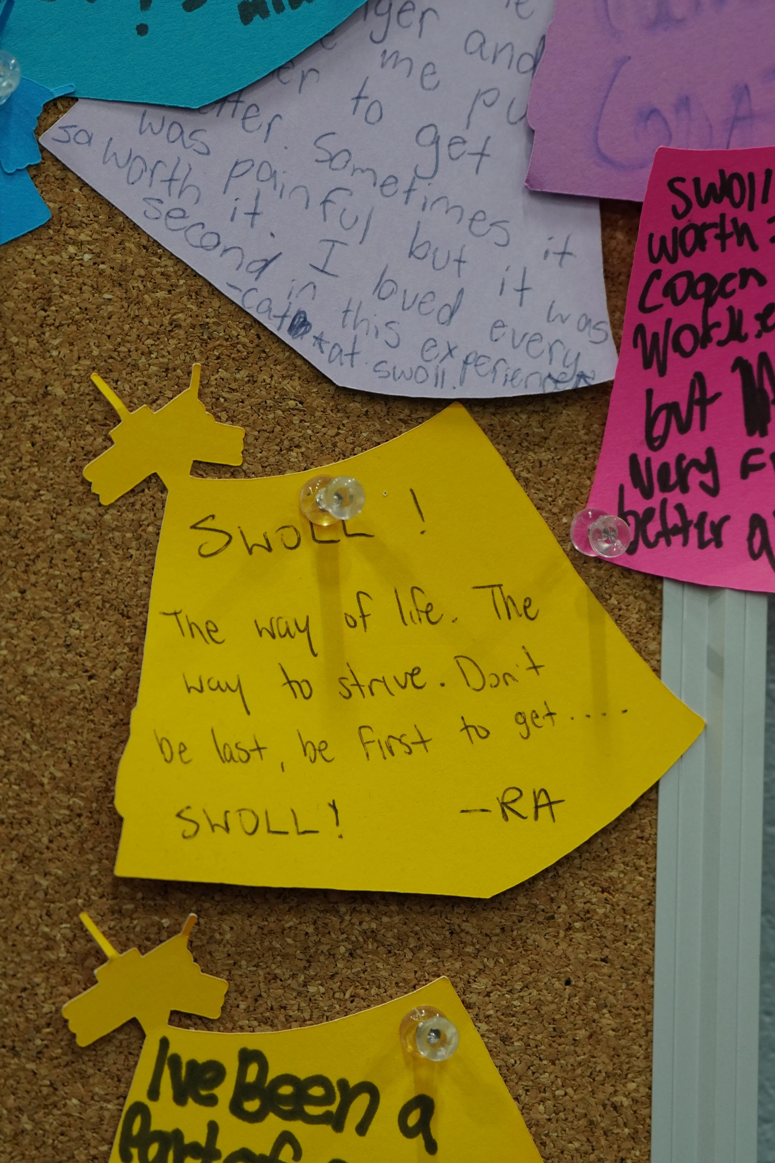 DSC03723.JPG