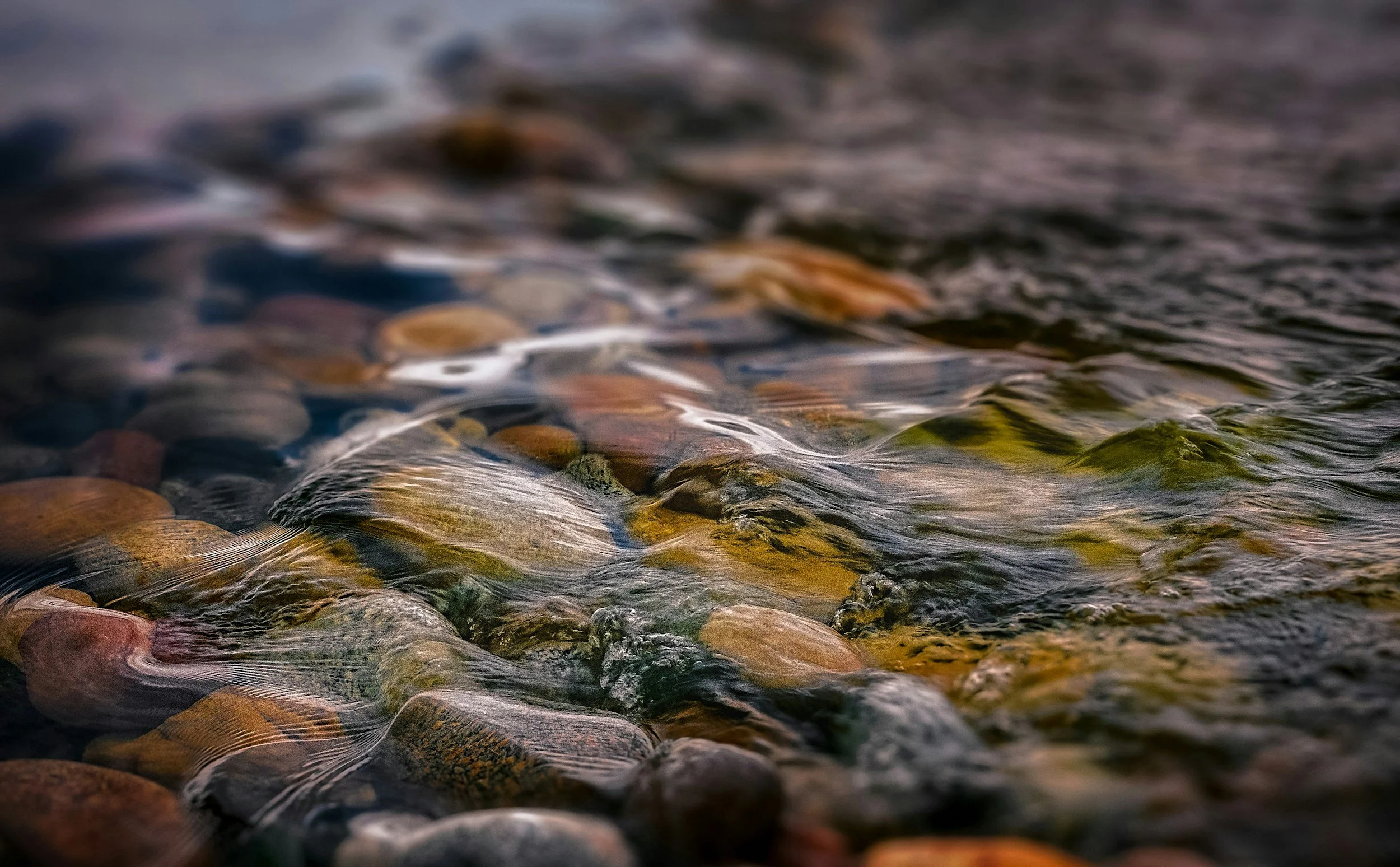 Close-up of smooth, multicolored stones beneath flowing water in a shallow stream.
