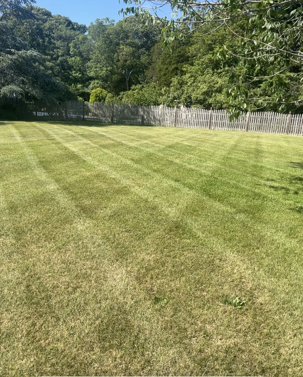 Weekly &amp; Bi-Weekly Lawn Cuts