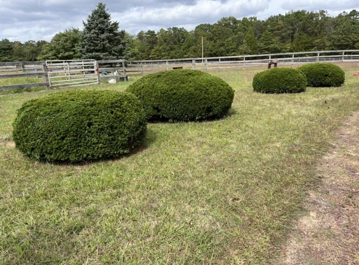 Trimming &amp; Edging